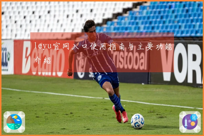 leyu官网入口使用指南与主要功能介绍