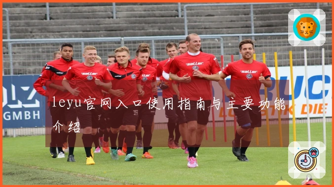 leyu官网入口使用指南与主要功能介绍